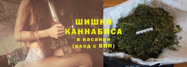 spice Горнозаводск