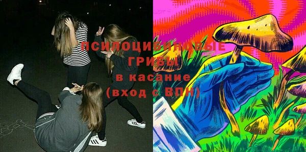 марки lsd Горно-Алтайск