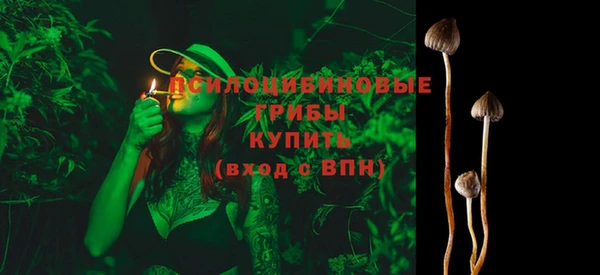 марки lsd Горно-Алтайск