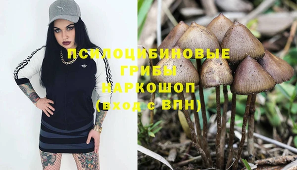 марки lsd Горно-Алтайск